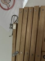 IMG_5137.jpeg