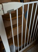 IMG_5140.jpeg